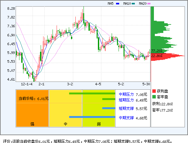 金路集团(000510)_个股体检