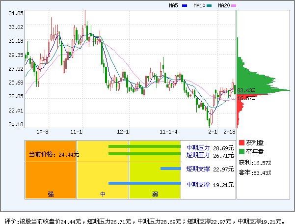 盐湖集团(000578)_个股体检