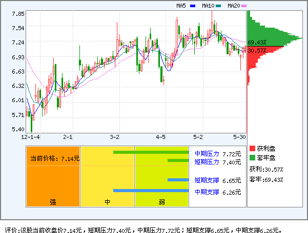 大通燃气(000593)_风险评价