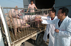 ũ�������ս���һ����Ȧ������