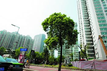 长沙二手房买卖实行资金监管 交易所与银行合