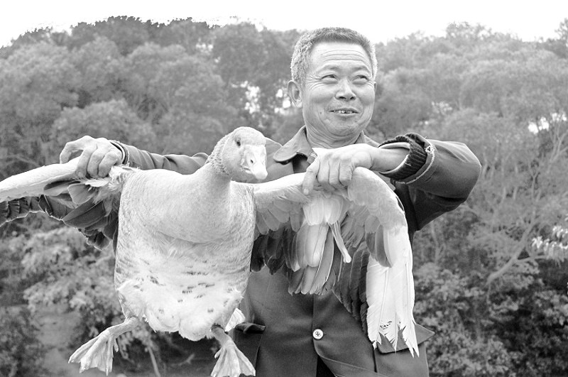 �����谲ĳ��ֳ��������Ҳ��׬����