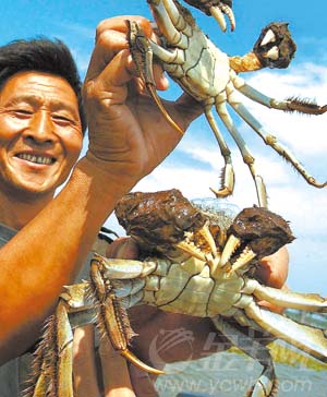 ���κ���բз�������Ǽ�(2)