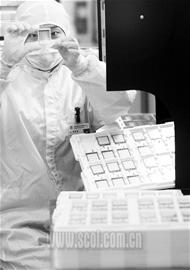 ���ˣ�������31���봨��Һ��