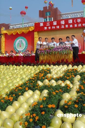 中国管溪蜜柚节在福建平和县举行 江丙坤电贺