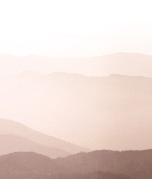 东吴嘉禾优势精选混合型开放式证券投资基金分