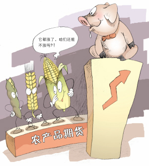 掘金农产品期货 看着容易做着难_品种研究