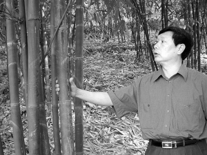 赤天化董事长_董事长办公室图片(3)