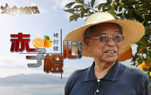 褚時健：赤子橙心