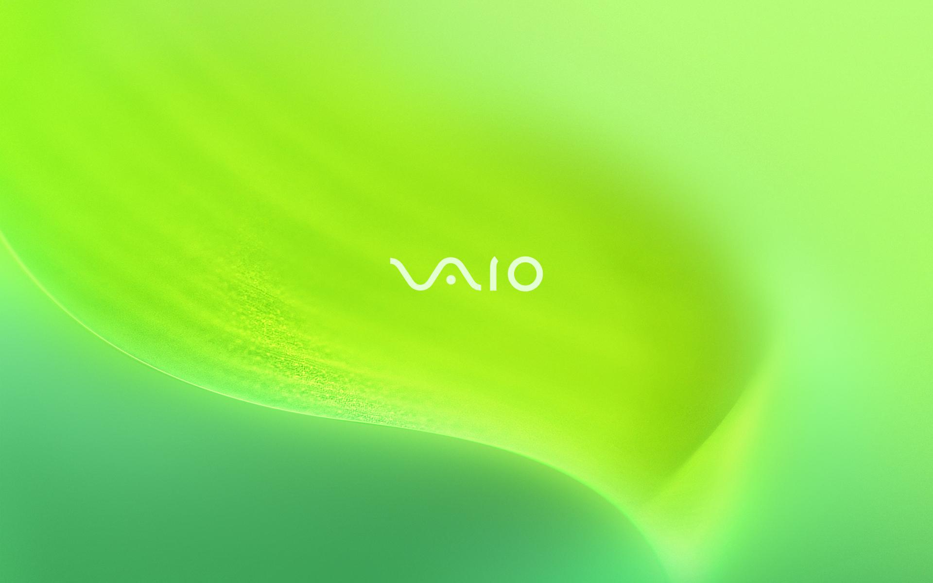 下载首页 系统工具 壁纸皮肤 sony vaio笔记本绿叶壁纸  软件大小:178