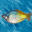 3Dˮ�������� Aqua 3D Screensaver 1.51