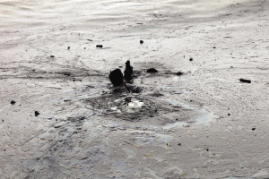 8时31分22秒 张良的手缓缓沉入海中 8时31分22秒 张良的手缓缓沉入海中