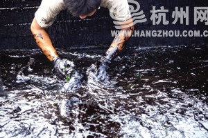 捞油人用双手捧起厚厚的油污 捞油人用双手捧起厚厚的油污