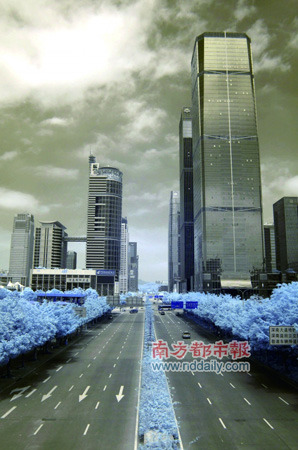 一条记录深圳经典的马路 一条记录深圳经典的马路