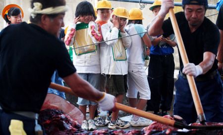 日本港口城市Wada,一群学生被学校组织参观鲸鱼屠宰,同时他们被要求对屠宰过程作详细记录。 日本港口城市Wada,一群学生被学校组织参观鲸鱼屠宰,同时他们被要求对屠宰过程作详细记录。