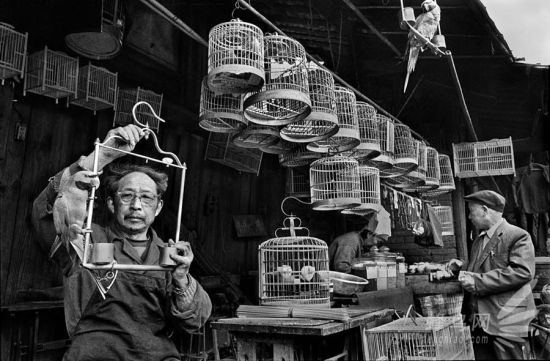 吴家林摄影作品 吴家林摄影作品