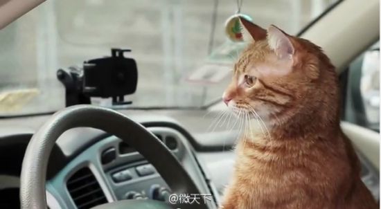 打马软件自拍鞋:国外企业愚人节推创意产品