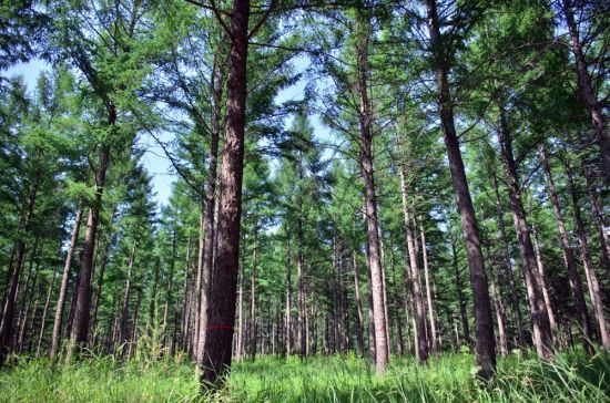 店小2卡门的微博