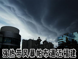 ǿ�ȴ��籩�����ƽ�����