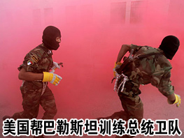 ��������������˹̹��ѵ��ͳ����
