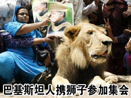 �ͻ�˹̹����Яʨ�Ӳμ����μ���