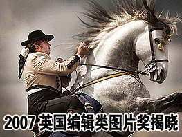 2007Ӣ���༭��ͼƬ������