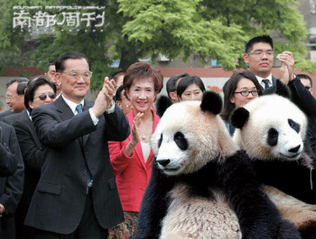 �������Ŵǵ䣺��è