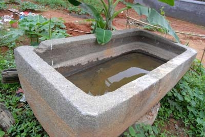 渔民草丛里找回灵骨塔