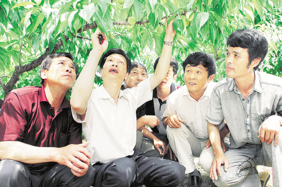 满江街道夏家村人口_夜晚街道图片