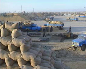 中国粮食问题调查:粮食运输能力成为发展瓶颈