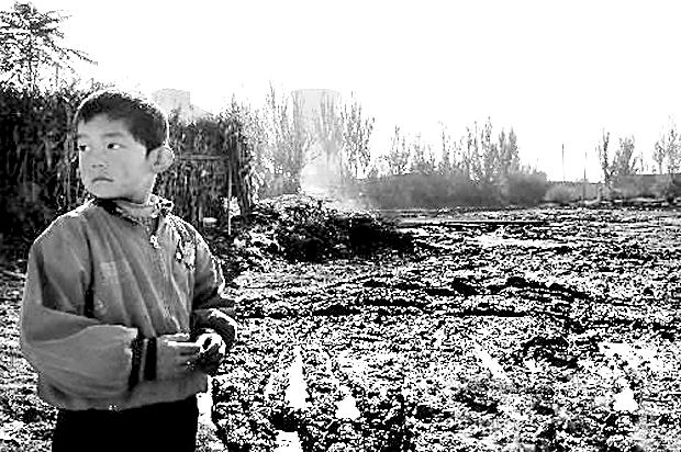 不可逾越的红线:坚守18亿亩耕地