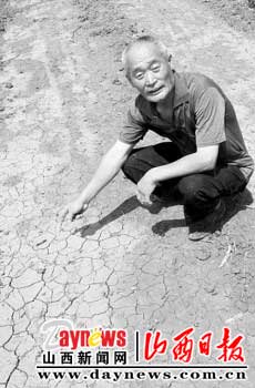 吉林省九台市龙嘉堡镇由于干旱他种的丁香颗粒