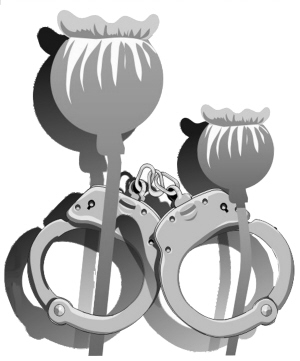 犯罪大要案增多 新类型毒品不断出现 犯罪形式