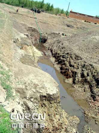 ��������Ӿ��꼾����������������