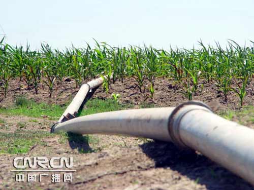 ��������Ӿ��꼾����������������