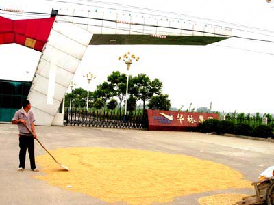 河南首富的隐秘世界:40亿贷款打造华林帝国