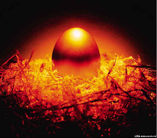 个人黄金交易放开