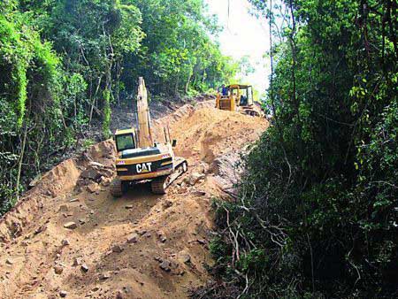 网友发帖称三亚原始海防林带被推倒修路(图)