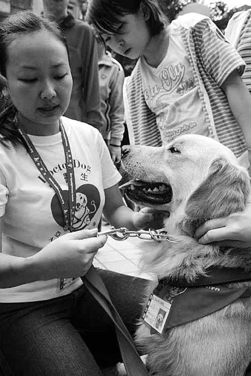 猛犬出楼狂吠 孕妇噩梦缠身