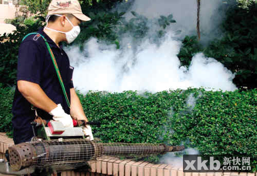 灭蚊防控登革热