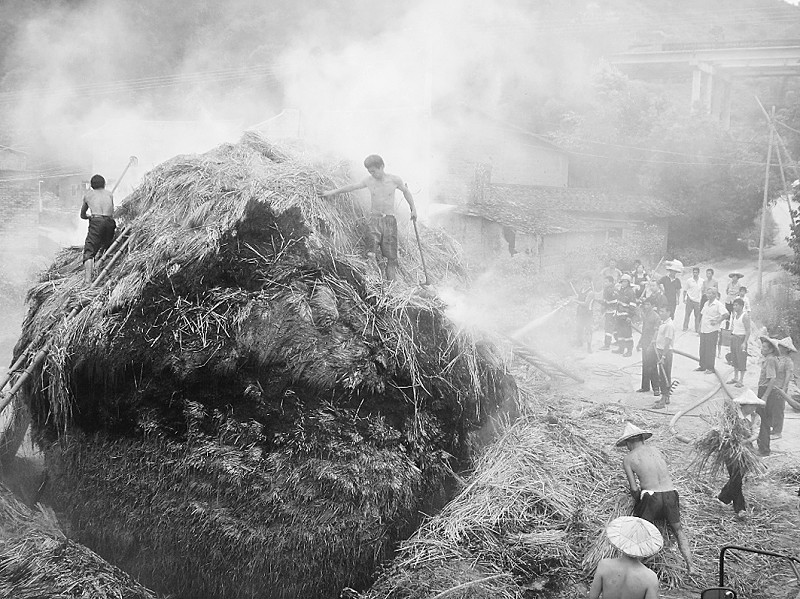 永春县达埔镇东园村:十多吨草堆浓烟滚滚
