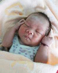 ���ɽγ�����5Ӥ�������������ұ�����Ӥ������