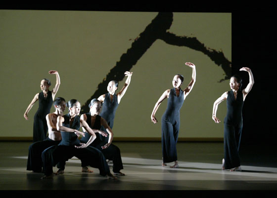 【图说北京】台湾云门舞集舞动婉约之风