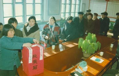 吉林省梨树县村民委员会海选