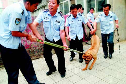 抱起小狗转身就跑 快给无证狗上“户口”吧_新闻中心_新浪网