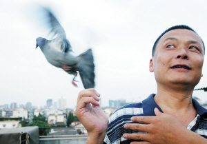 鸽子中的章子怡是个小脸美人