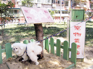 社区推广新型宠物厕所(图)