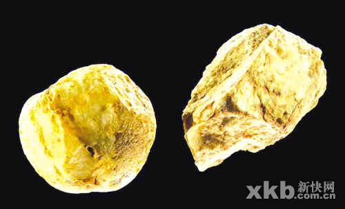 珠江流域亦是中华民族起源地