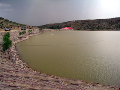 中国网络媒体内蒙古行记者走进乌海生态园(图