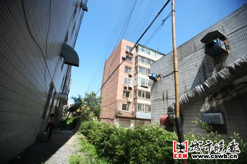 楼旁立粘网 有人捕鸟?